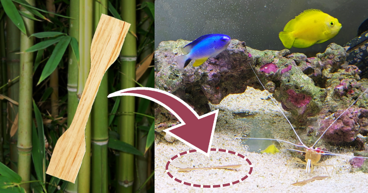 Activity | Graduate School of Environmental Studies